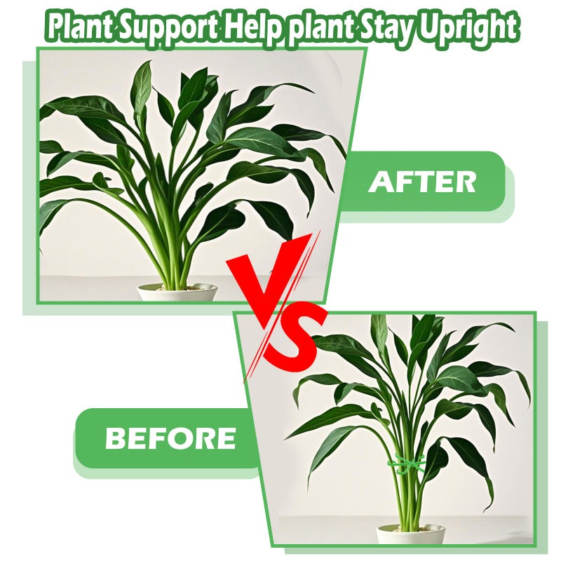 Tyqour 8pcs Plant Stem Support Climbing Houseplant Support Stakes for Indoor Plants Reusable Plastic Climbing Plant Support Plant Trellis Indoor Ideal Plant Support for Thriving Growth - Image 5